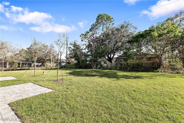 view of yard featuring a patio area