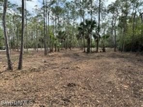 24443 Rocky Rd, Bonita Springs FL, 34135 land for sale