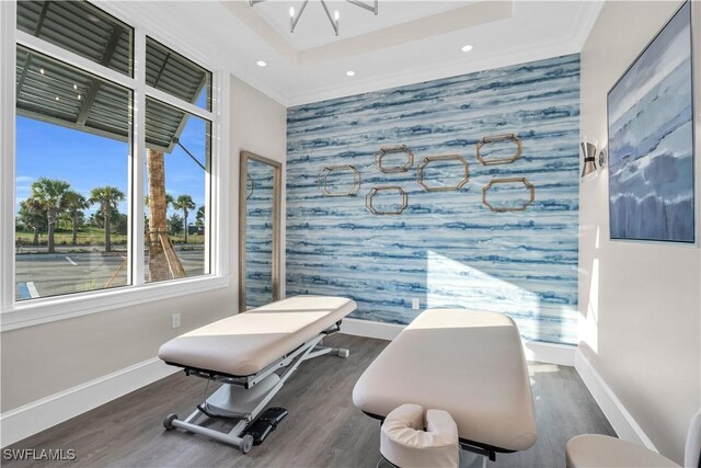 exercise area featuring a tray ceiling and dark hardwood / wood-style flooring