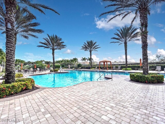 view of pool with a patio