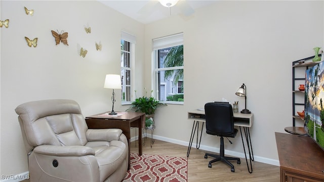 office space with ceiling fan and light hardwood / wood-style flooring