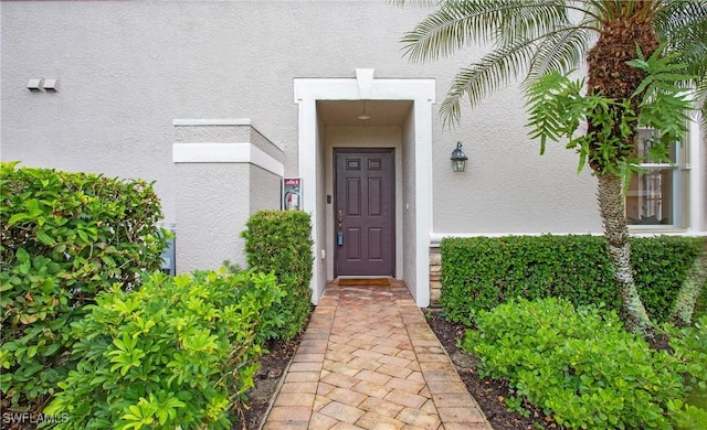 entrance to property featuring stucco siding