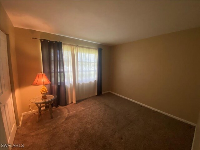 empty room featuring carpet floors