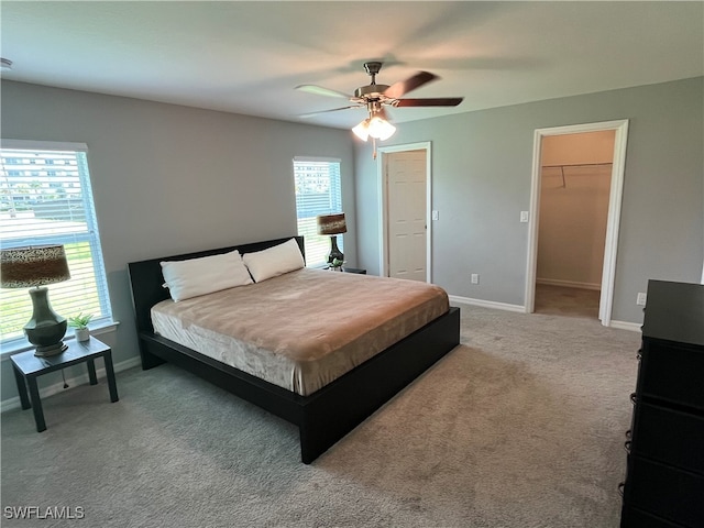 carpeted bedroom featuring ceiling fan, a closet, and a walk in closet