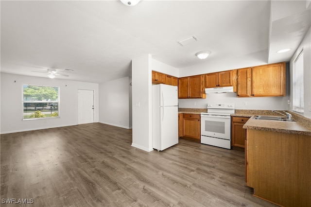 kitchen featuring white appliances, dark hardwood / wood-style floors, sink, and ceiling fan