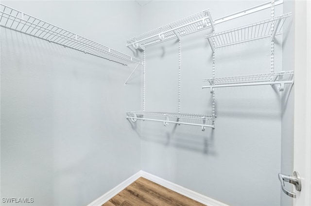 walk in closet with hardwood / wood-style flooring