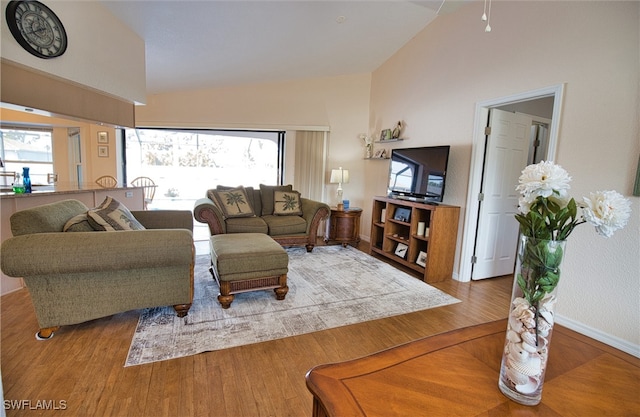 living room featuring lofted ceiling and wood-type flooring