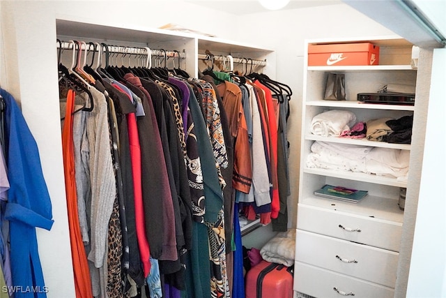 view of spacious closet