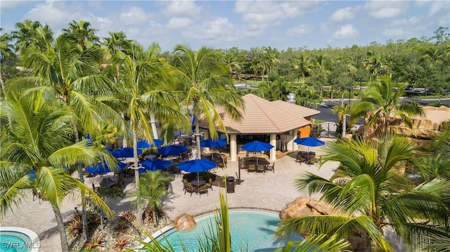 view of pool with a patio area