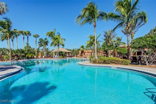 view of swimming pool