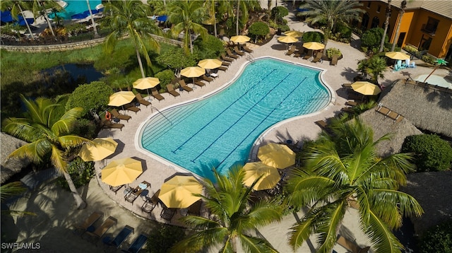 view of swimming pool with a patio area