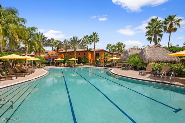 view of pool featuring a patio