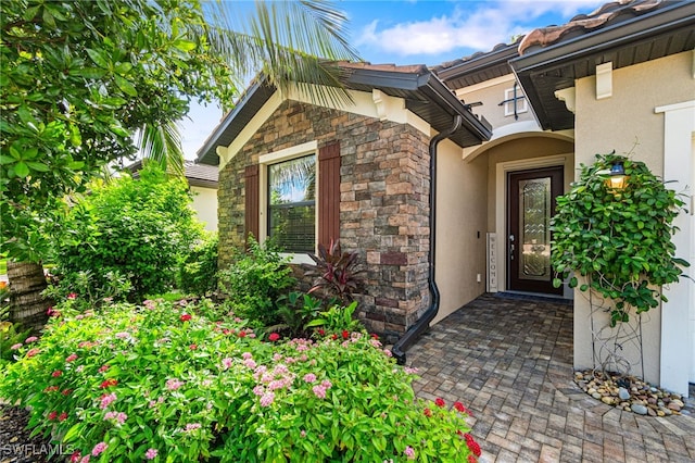 view of exterior entry with stone siding and stucco siding