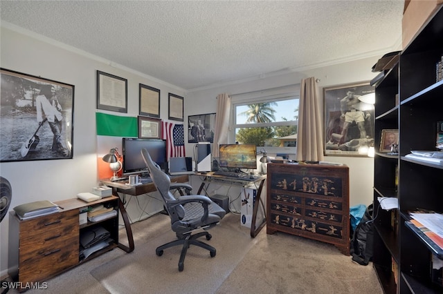 office area featuring a textured ceiling, ornamental molding, and carpet flooring