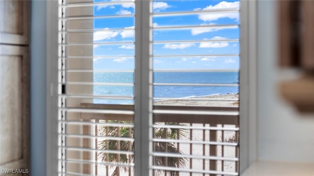 details featuring a water view and a view of the beach