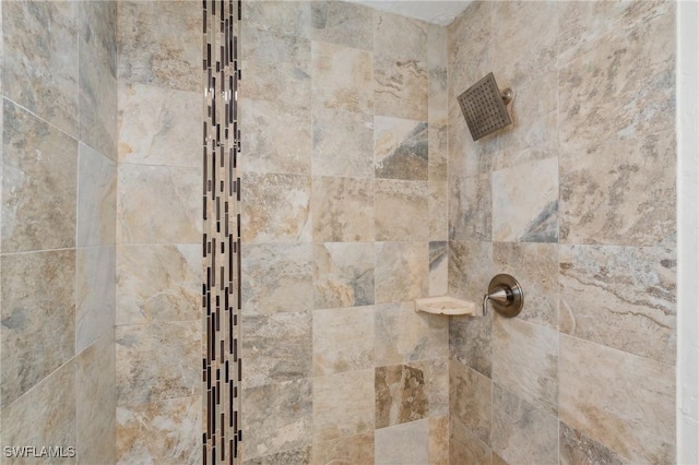 room details featuring tiled shower