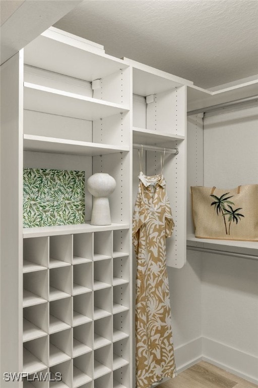 spacious closet featuring hardwood / wood-style flooring