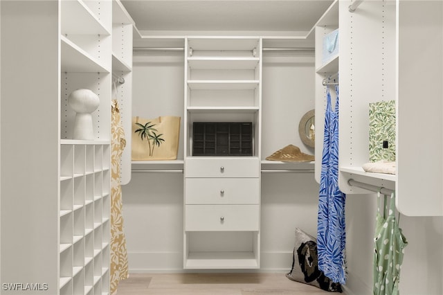 walk in closet featuring light hardwood / wood-style flooring