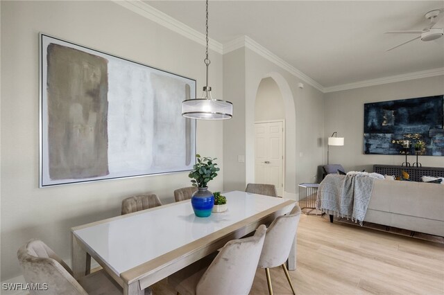 dining area featuring ornamental molding, ceiling fan, and light wood-type flooring