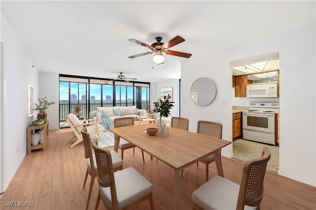 dining space featuring floor to ceiling windows, ceiling fan, and light hardwood / wood-style floors