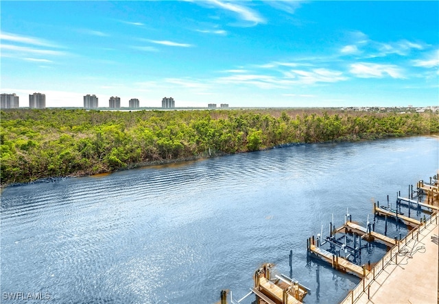 property view of water with a dock