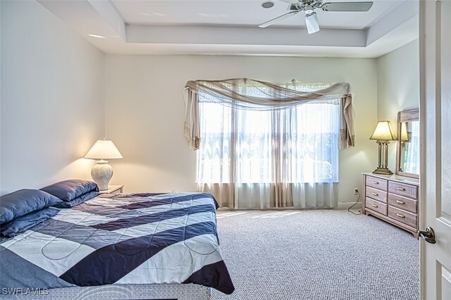 carpeted bedroom with ceiling fan, a tray ceiling, and multiple windows