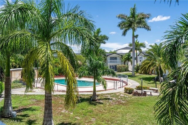 view of pool with a yard