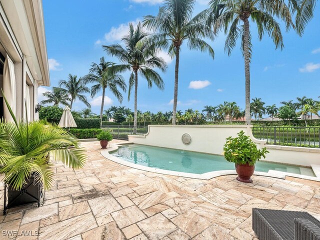 view of pool with a patio area