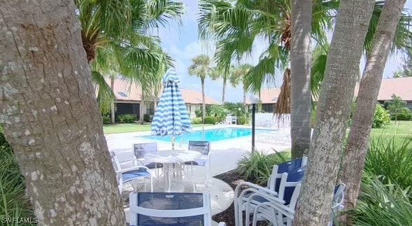 view of pool with a patio