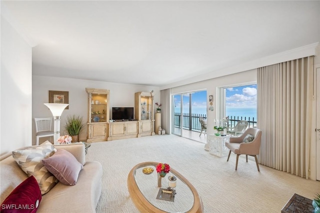 living room featuring carpet floors