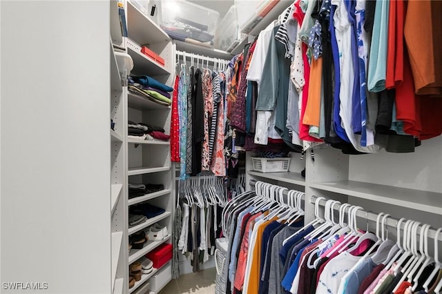 view of spacious closet