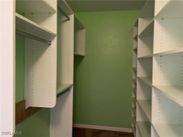 view of walk in closet