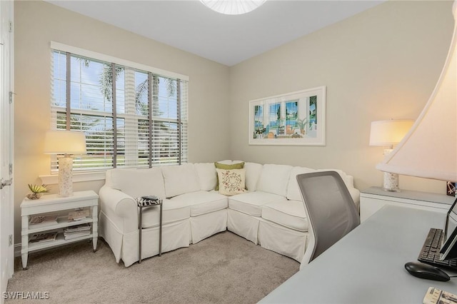 living room with carpet floors