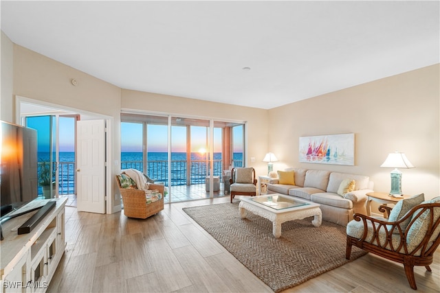 living room featuring light wood-type flooring and a water view