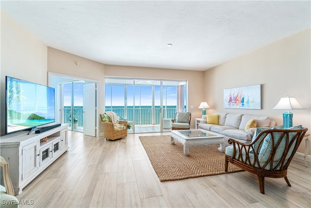 living room featuring a water view and light hardwood / wood-style flooring