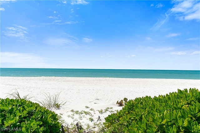 view of water feature with a beach view