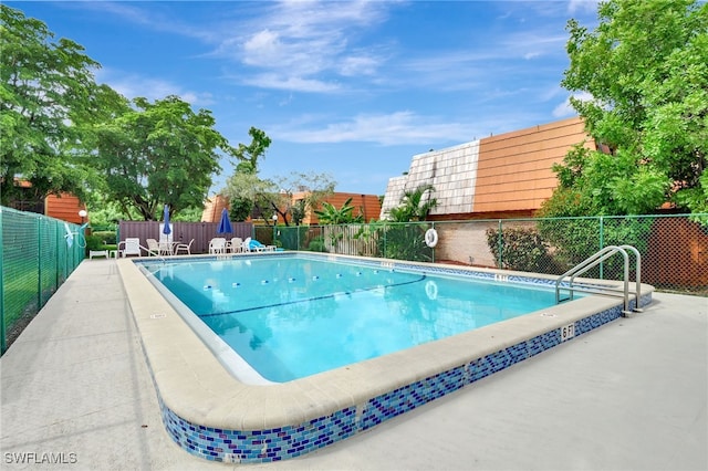 view of swimming pool featuring a patio