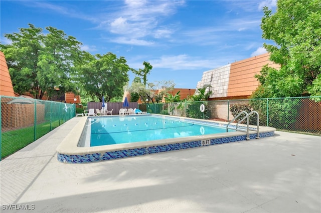 view of swimming pool with a patio area