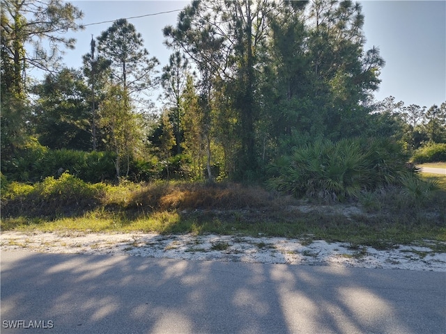 Listing photo 3 for 601 W 14th St, Lehigh Acres FL 33972