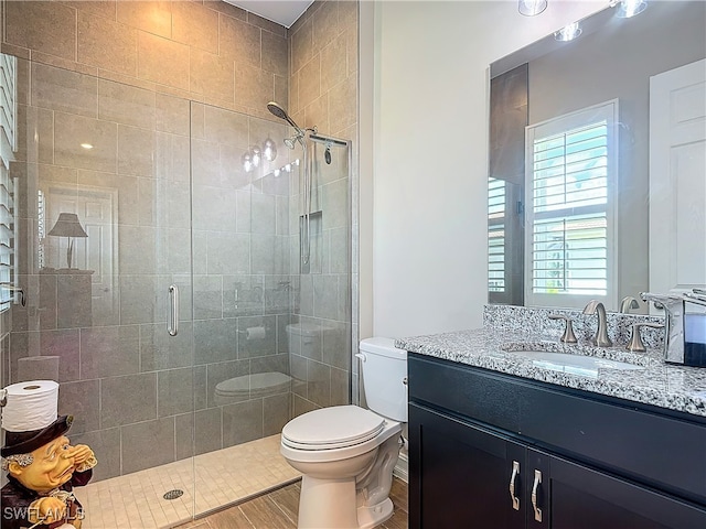 bathroom with walk in shower, vanity, a healthy amount of sunlight, and toilet