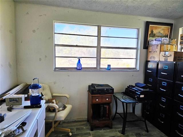 office space with dark hardwood / wood-style flooring, a textured ceiling, and a wealth of natural light