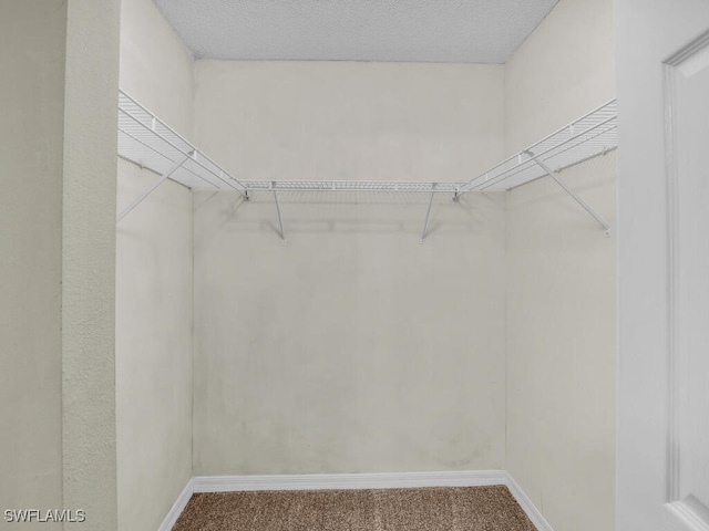 walk in closet with carpet