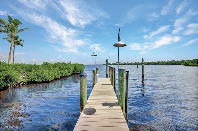 view of dock with a water view