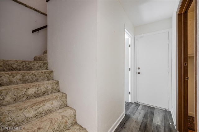 stairs with hardwood / wood-style floors