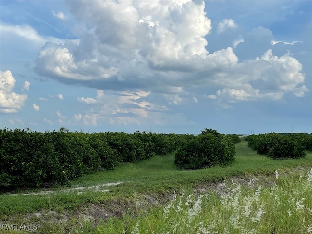 6th Rd, Labelle FL, 33935 land for sale