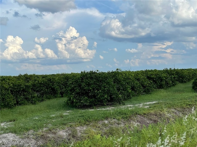 Listing photo 2 for 6th Rd, Labelle FL 33935