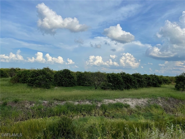 Listing photo 3 for 6th Rd, Labelle FL 33935