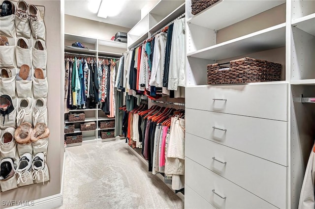 walk in closet featuring carpet flooring