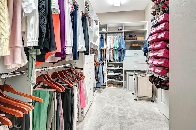 spacious closet featuring carpet floors