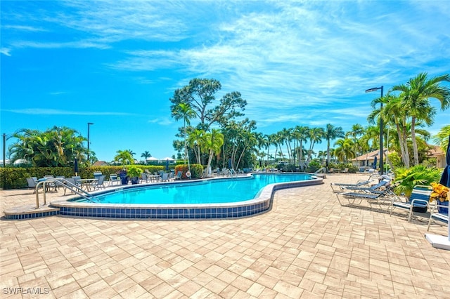 view of pool featuring a patio